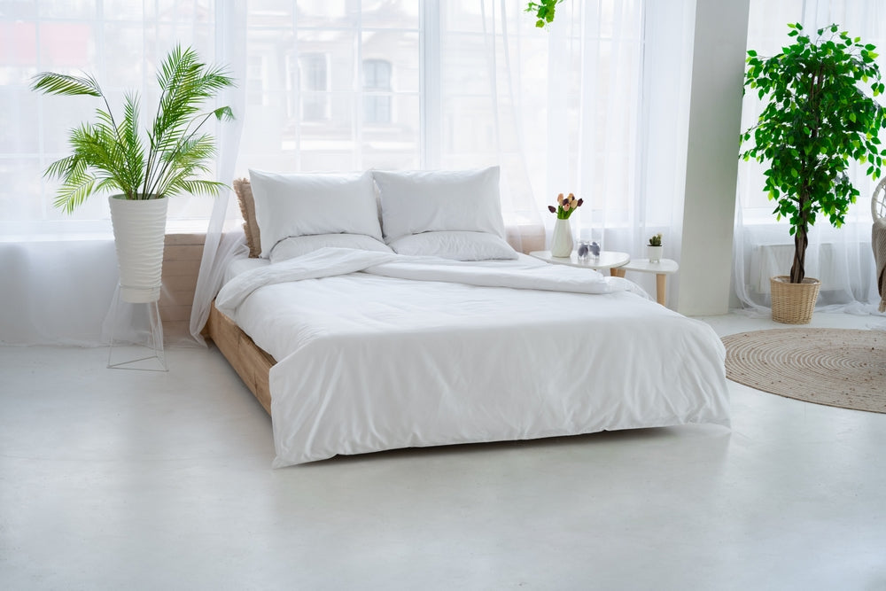 Closets and Closet Systems