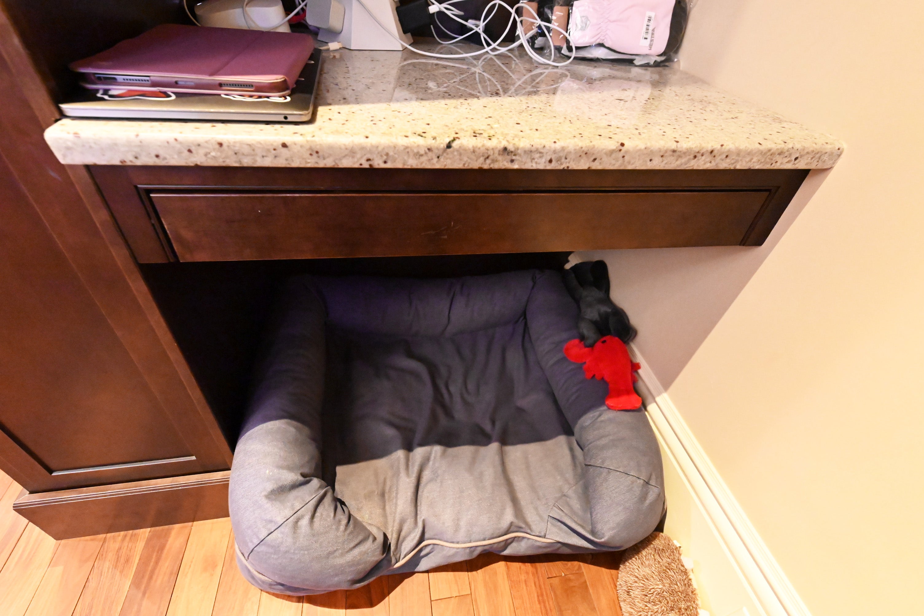 Custom Dignified Chestnut Transitional Pre-Owned Kitchen