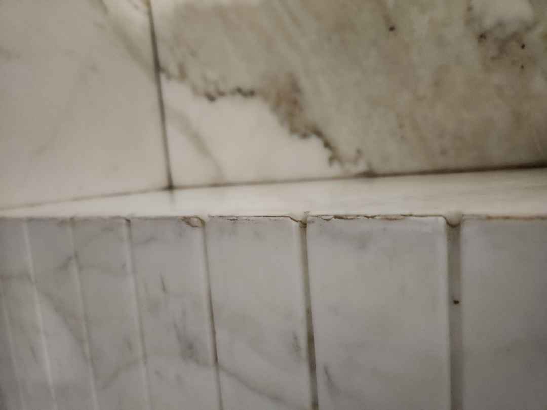 St. Charles Transitional Two-Tone White Butler's Pantry with Calcatta Marble Countertops