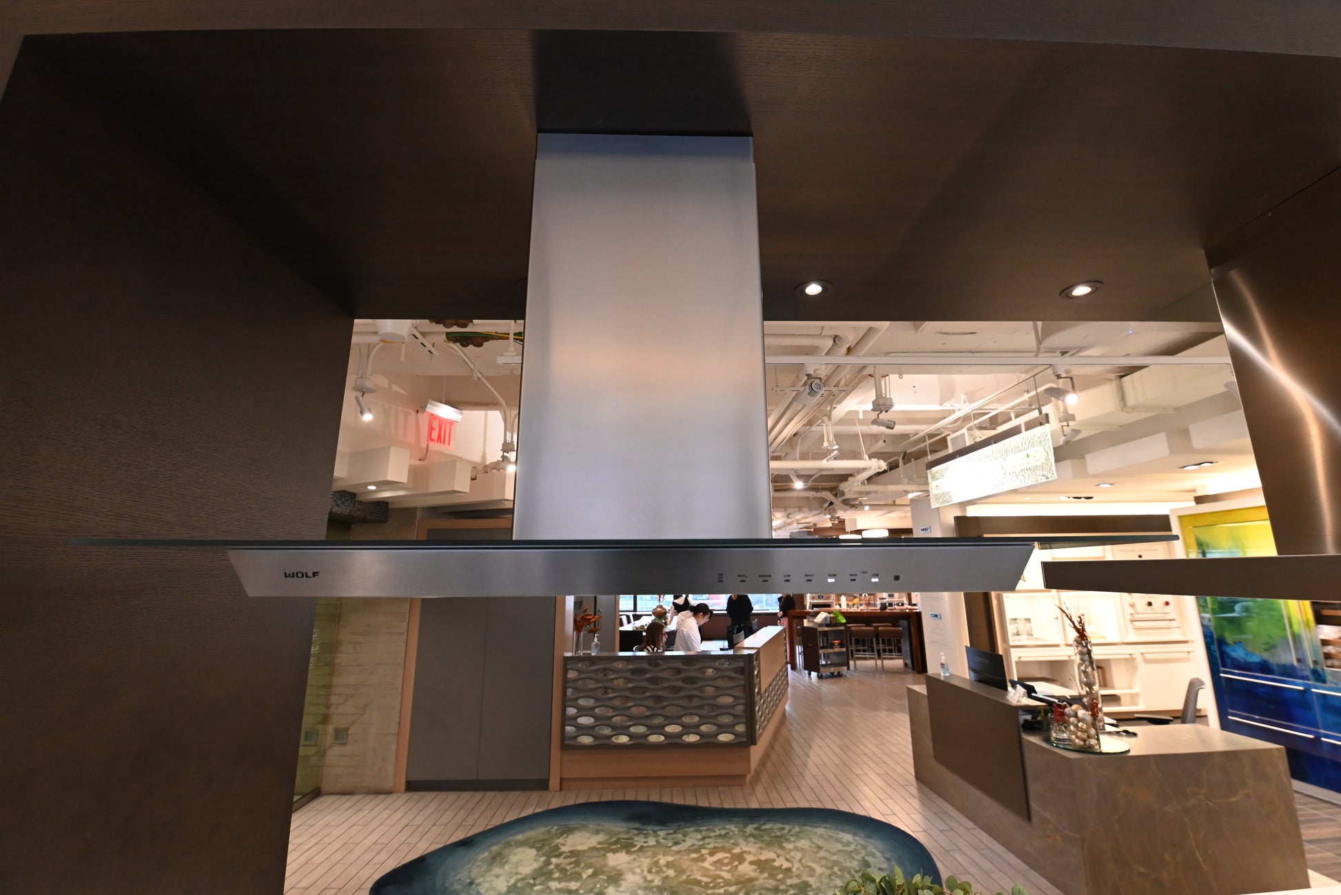 Wolf Certified VI45G 45" Stainless Steel Glass Island Chimney Hood