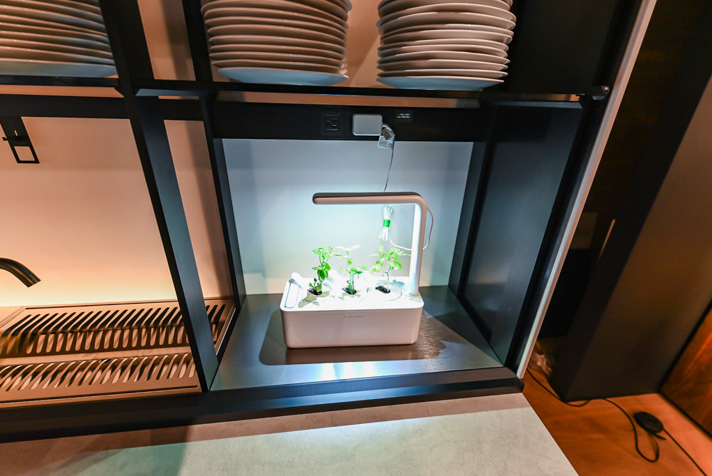 Valcucine Venture: Artematica Modern Kitchen with Island & Gaggenau Appliances