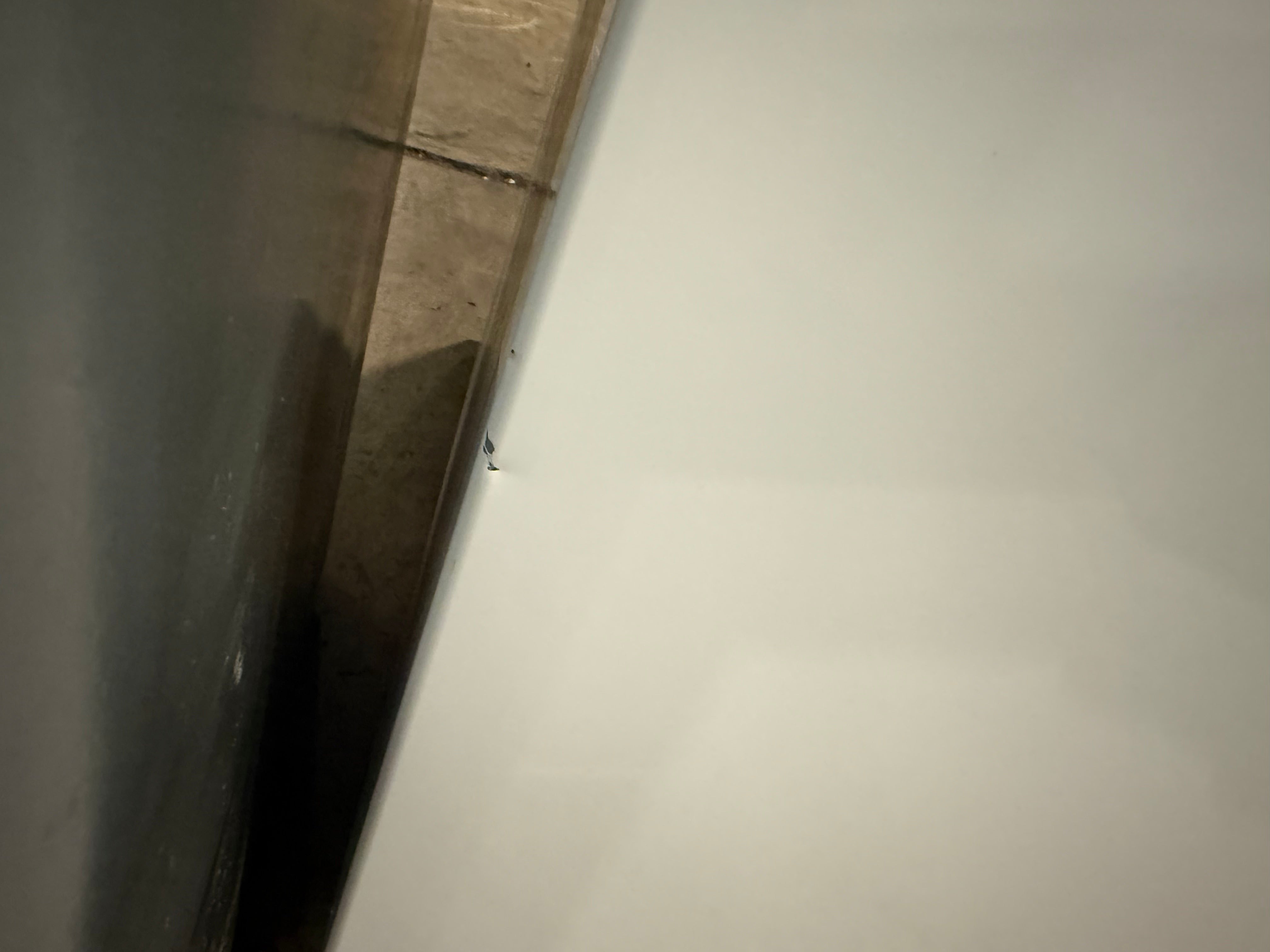 Frigidaire FFET1022UW 24" White Top Freezer Refrigerator
