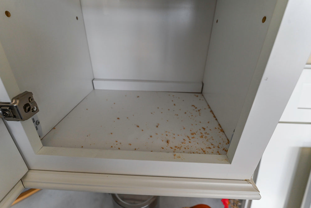 Forevermark Traditional White Kitchen Corner with White Marble Countertops