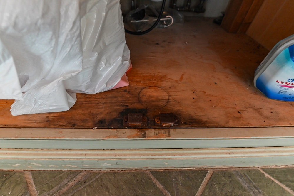 Traditional Washed Out Light Green Kitchen with Island, Granite Countertops and Viking Appliances
