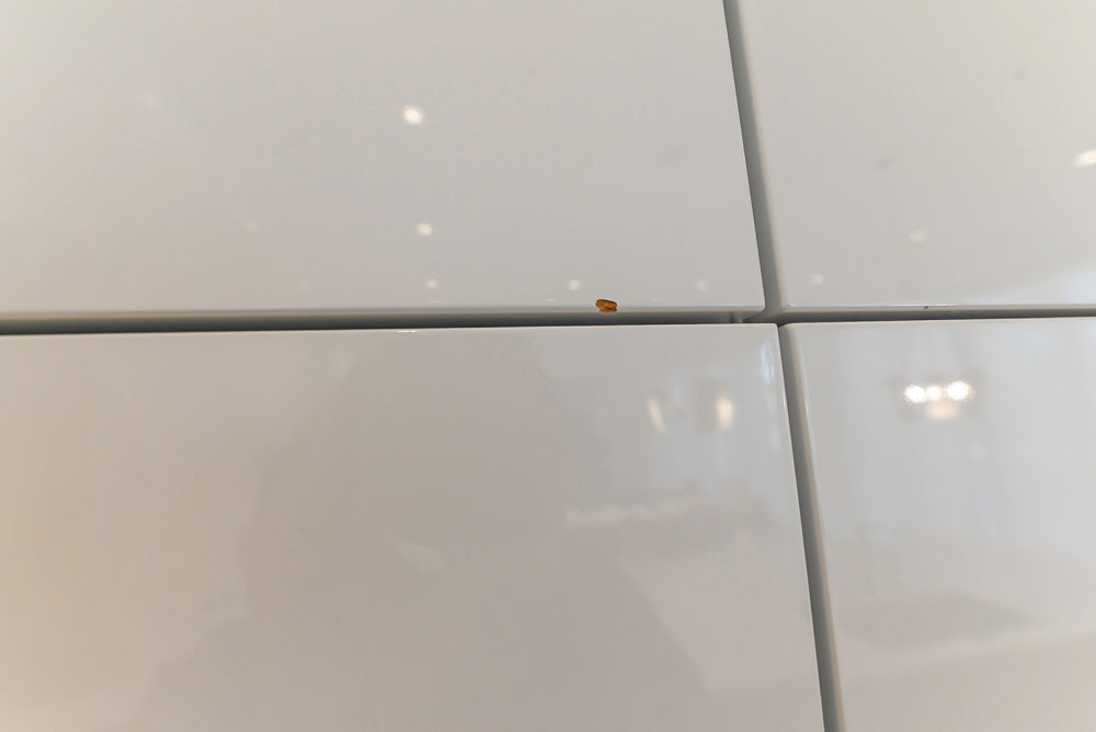 Brubaker Modern White Lacquered Kitchen with Waterfall Island and Stone Countertops